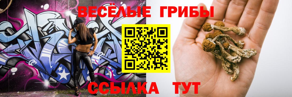 Галлюциногенные грибы Magic Shrooms Рузаевка